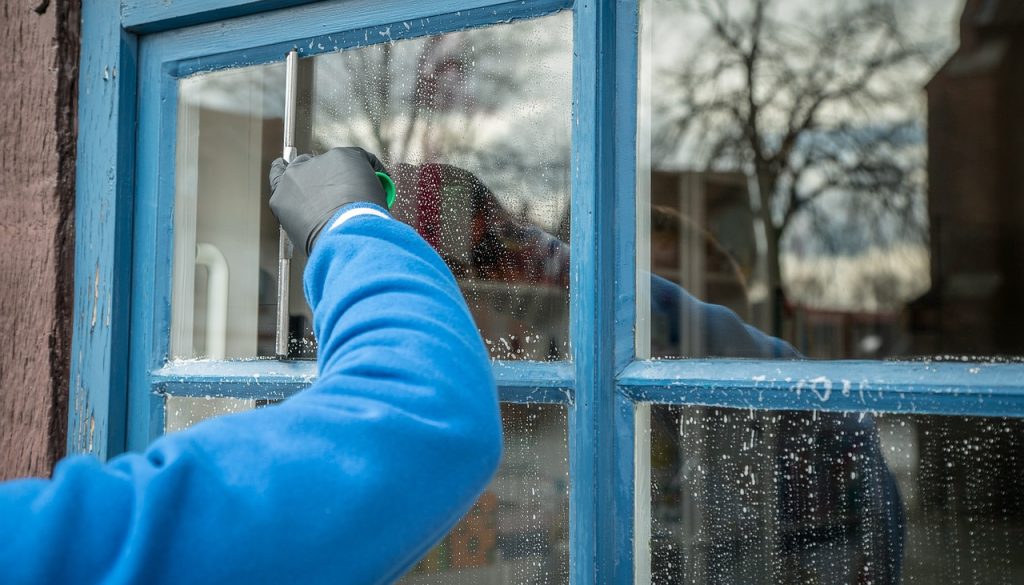 Window Cleaning Services
