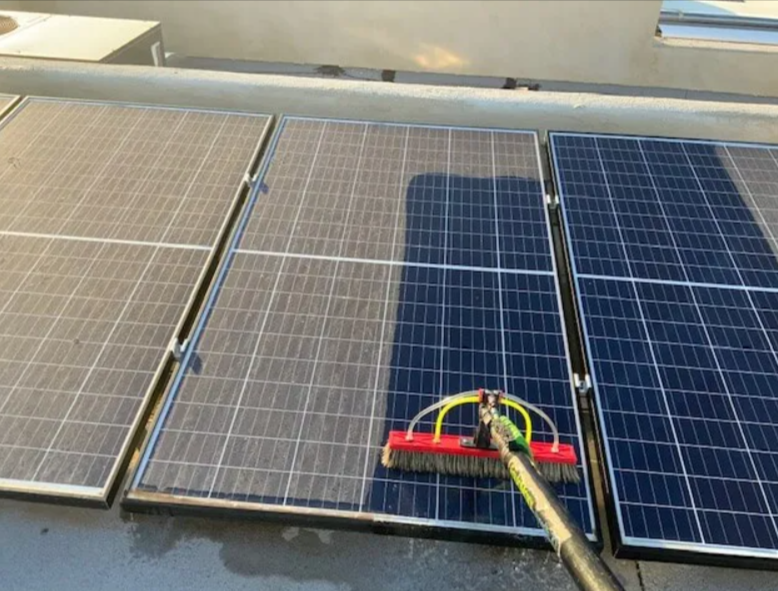 Maximize Efficiency and Longevity: Solar Panel Cleaning Services
