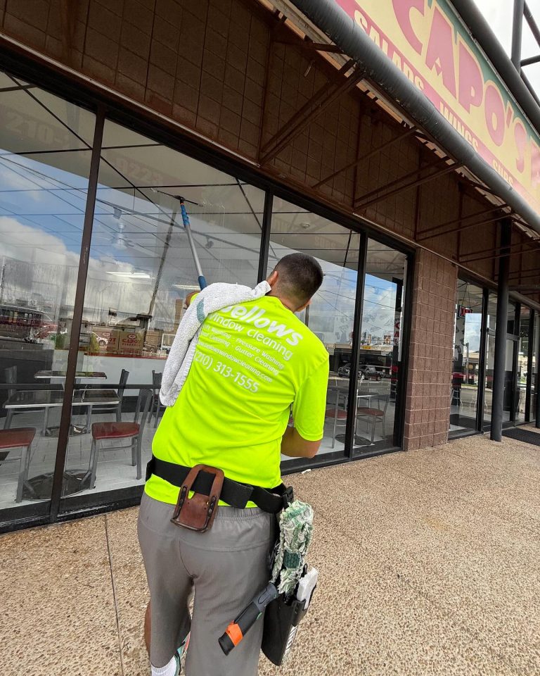 Window Cleaning Hollywood Park TX