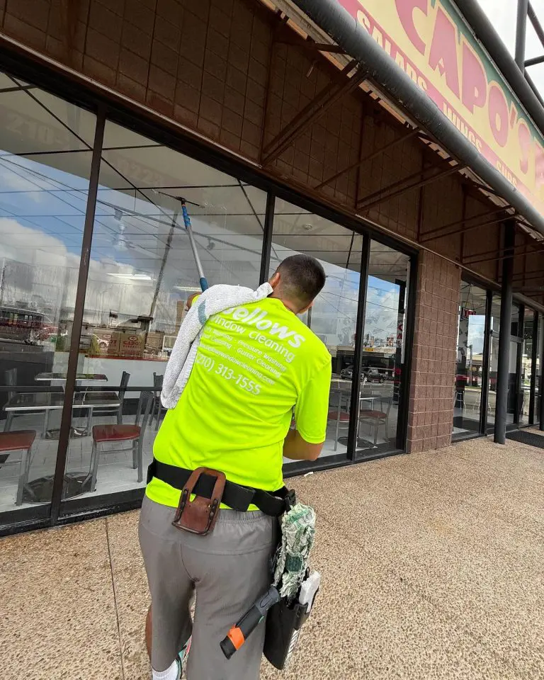 Window Cleaning Hollywood Park TX