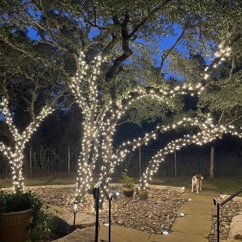 Christmas Light Installation San Antonio