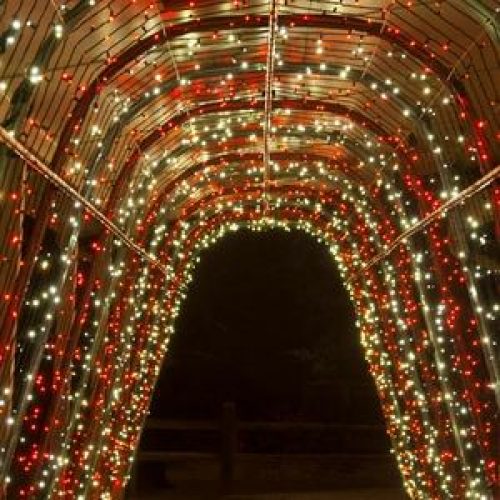christmas lights 2 Custom Zones and Surface Considerations